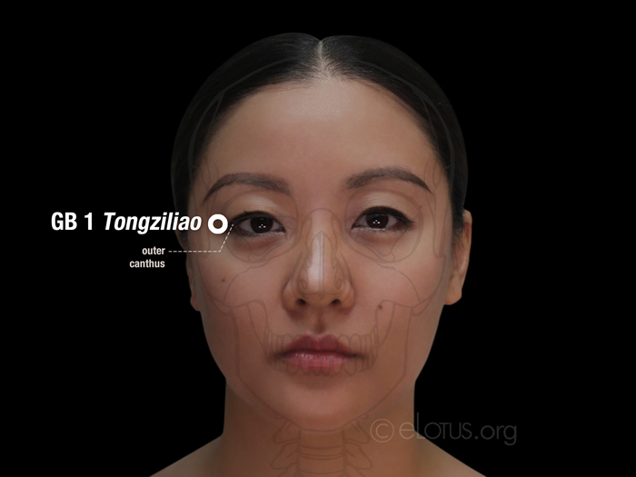 Tongziliao (GB 1) | Master Tung's Acupuncture | ELotus CORE